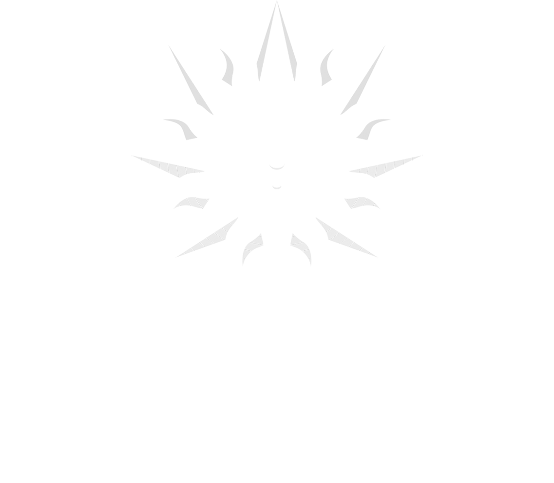 Cirque Untold