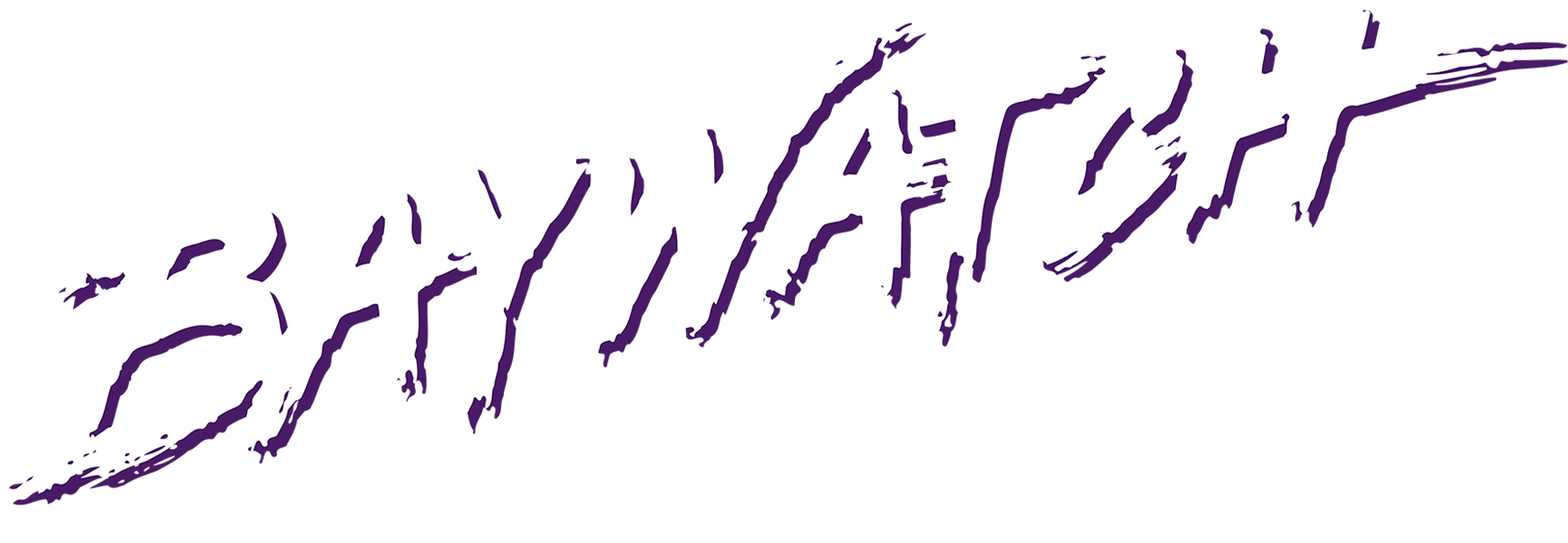 Baywatch Hawaii show logo