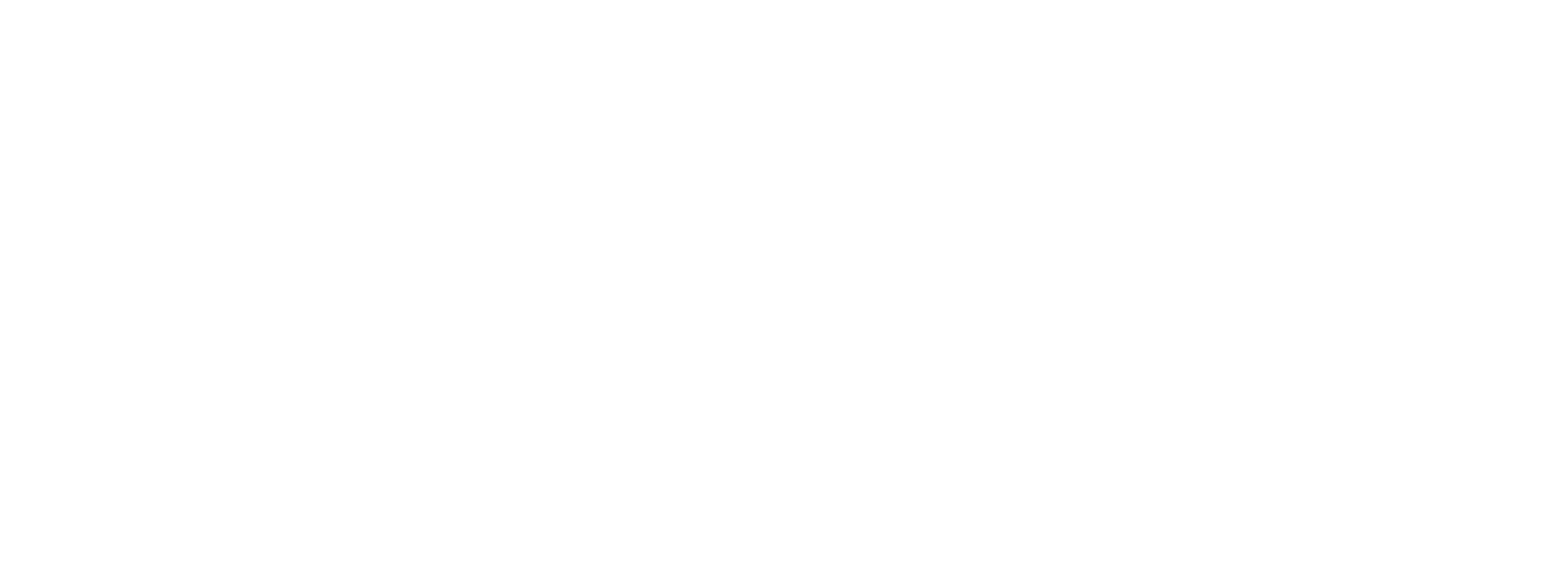 The Howard Stern Show