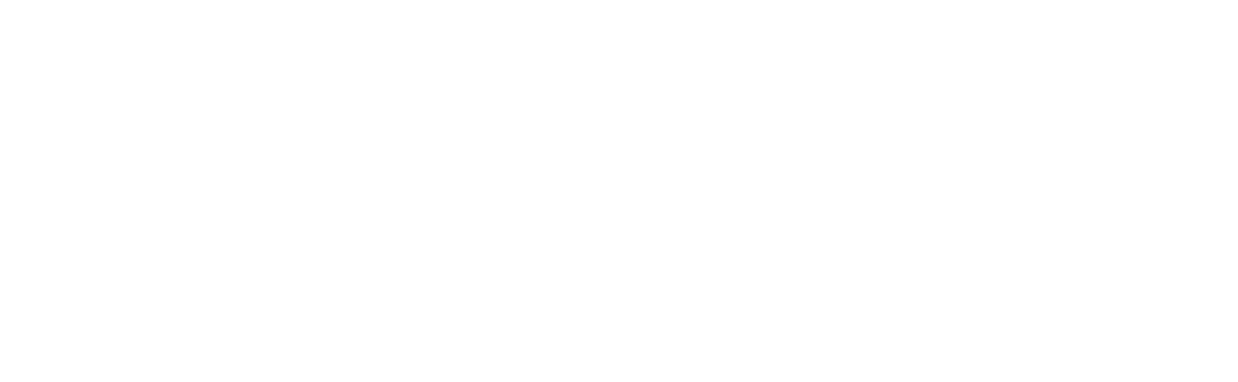 The New Fly Fisher show logo