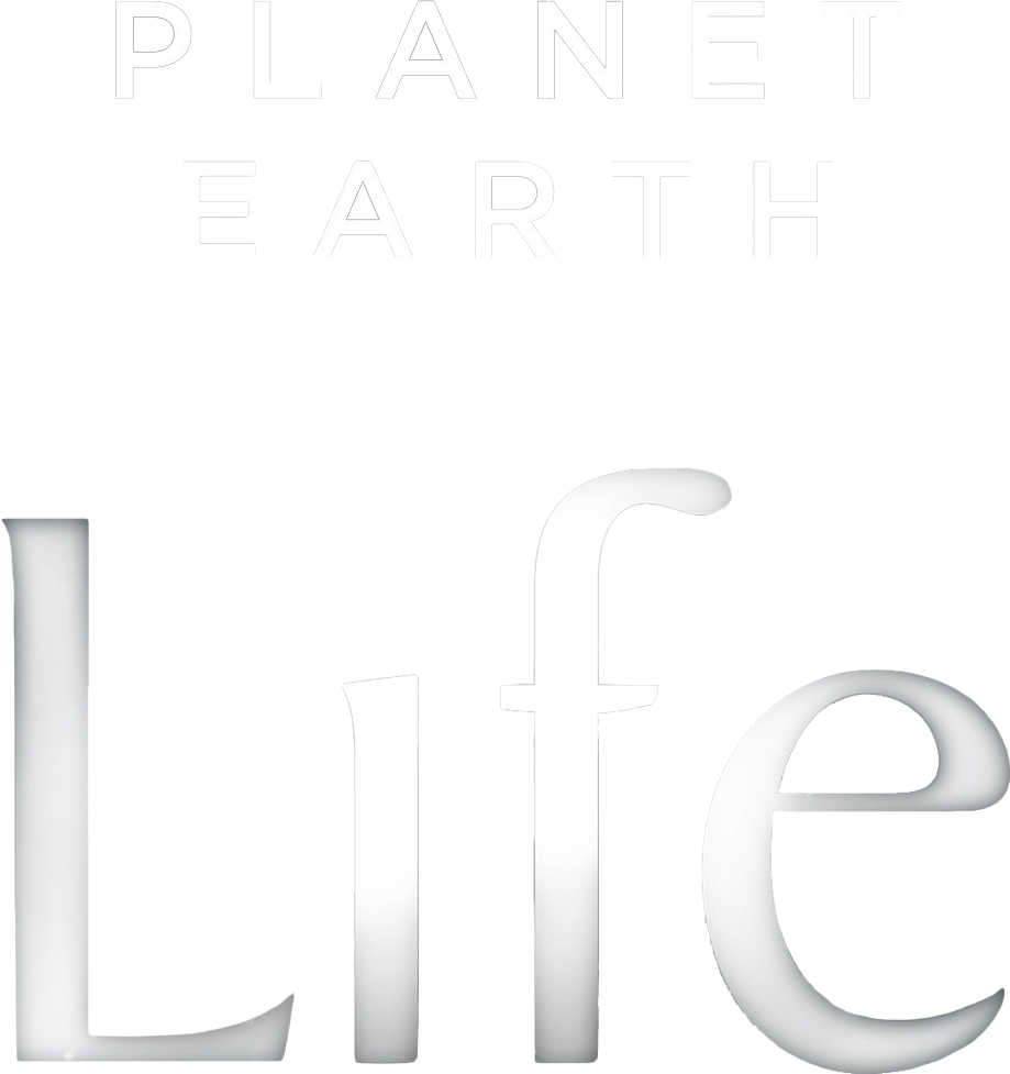 Planet Earth: Life show logo
