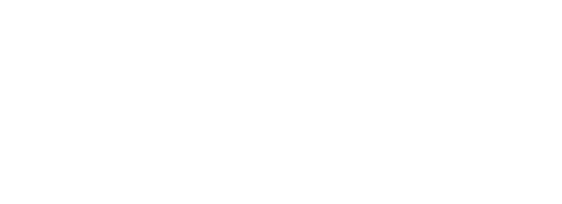Flipping Boston show logo