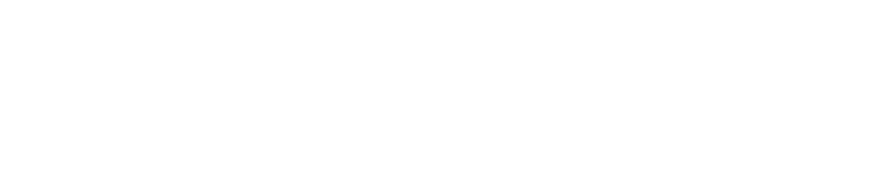 The Pitch
