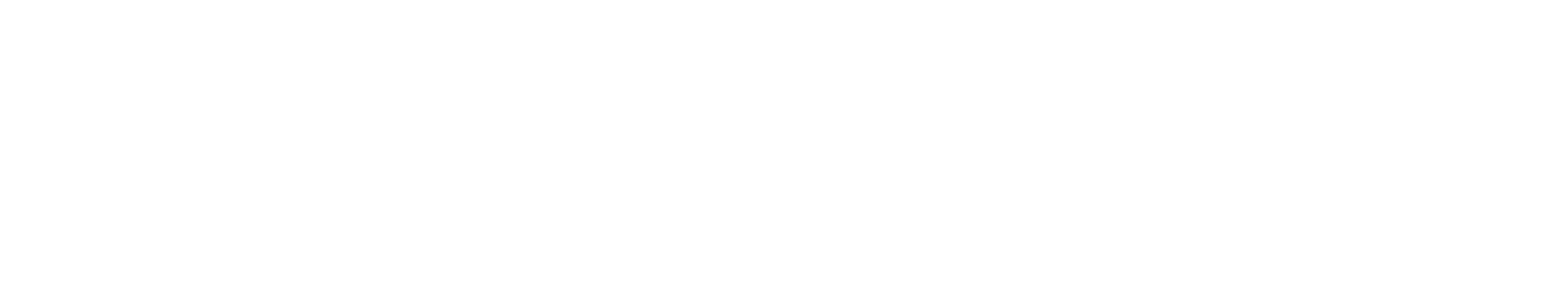 The Newsroom show logo