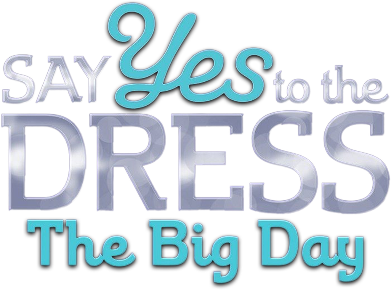 Say Yes to the Dress: The Big Day