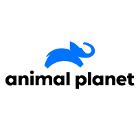 Animal Planet logo