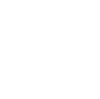 Deal Zone channel logo