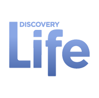 Discovery Life logo