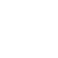 Perform channel logo