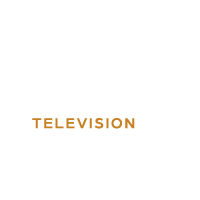 Story Television channel logo