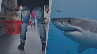 Customer Wars/Sharks in Paradise Customer Wars/Sharks in Paradise