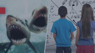 Bait/Einstein Challenge Bait/Einstein Challenge