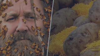 Bee Czar/Freaky Eaters Bee Czar/Freaky Eaters