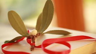 Robert's DIY Fabric Mistletoe Sprigs Robert's DIY Fabric Mistletoe Sprigs