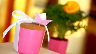 Roberts Plantable Paper Party Favors Roberts Plantable Paper Party Favors
