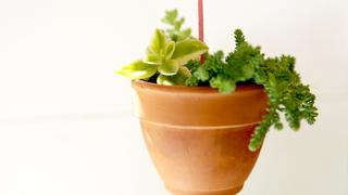 DIY Hanging Planter DIY Hanging Planter