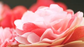 How to Create Paper Punch Tissue Flowers How to Create Paper Punch Tissue Flowers