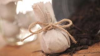 How to Make a Seed Capsule How to Make a Seed Capsule