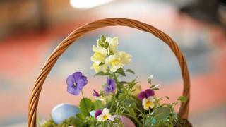 Living Easter Basket Living Easter Basket