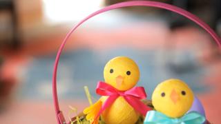 Robert's DIY Easter Chicks (Easter Collab!) Robert's DIY Easter Chicks (Easter Collab!)