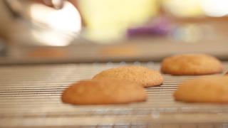 Snickerdoodle Cookies Recipe Snickerdoodle Cookies Recipe