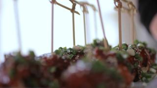 Asian Chicken Meatballs Asian Chicken Meatballs
