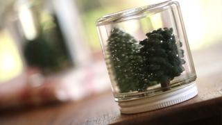 How to Make Snowglobes How to Make Snowglobes