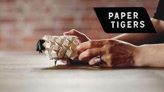 Paper Tigers