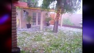 Clip: Wonder of Weird