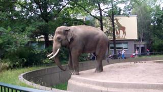 Clip: Hilarious Hell-raisers